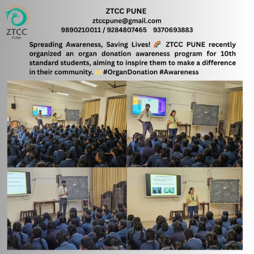 Untitled design (13)