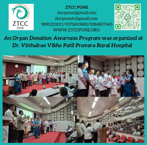 Untitled design (14)