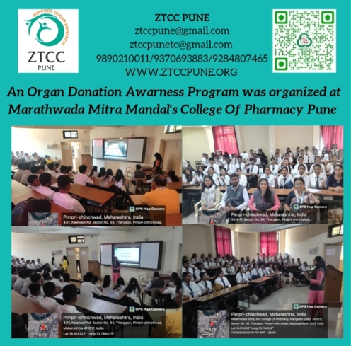 Untitled design (15)